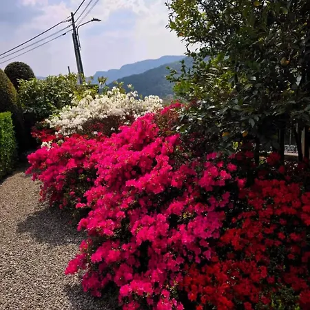 Estate With Pool, Gardens & Views Villa